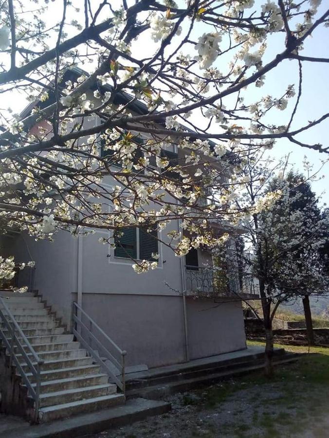 Agroturizem Hotel Vila Franceze Koman Экстерьер фото